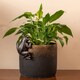 image 3 of Frog Plant Pot Hanger - L10.5 x W11 x H5 cm