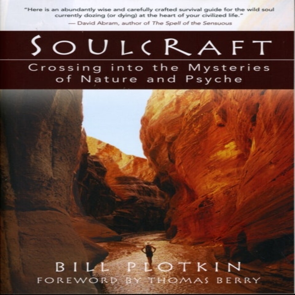 Soulcraft