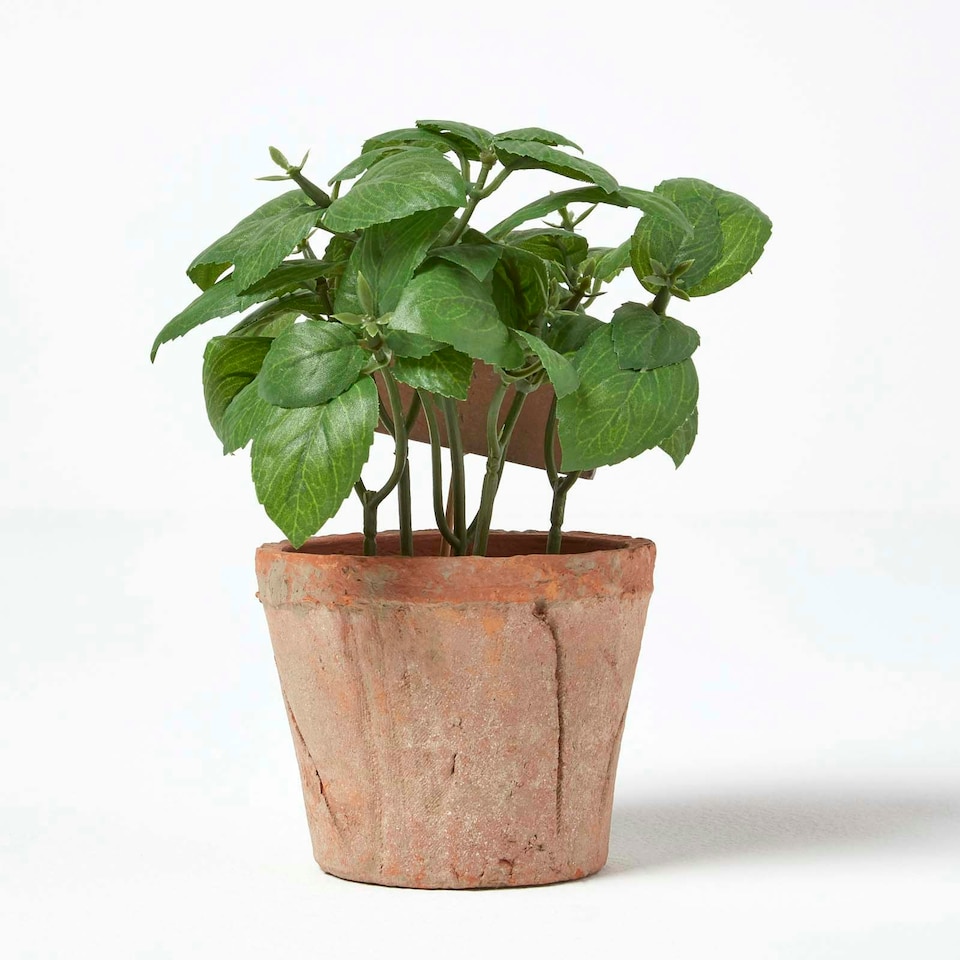 image 1 of Homescapes Artificial Basil Plant in Decorative Pot