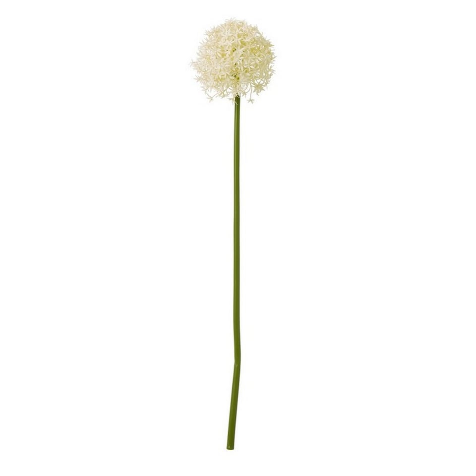 image 1 of Medium Allium (Single Stem Flower) - Plastic - L16 x W16 x H80 cm - Cream