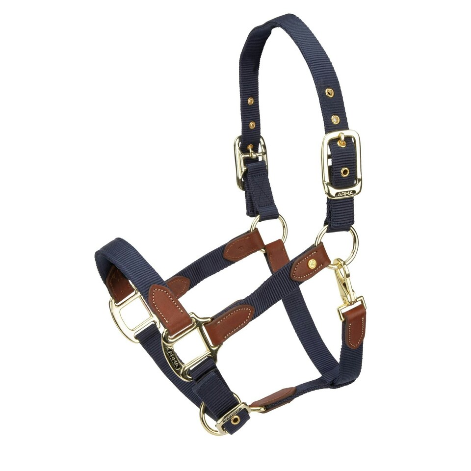 image 1 of ARMA Porto Headcollar Black | Colour: Black Cherry
Size: Pony