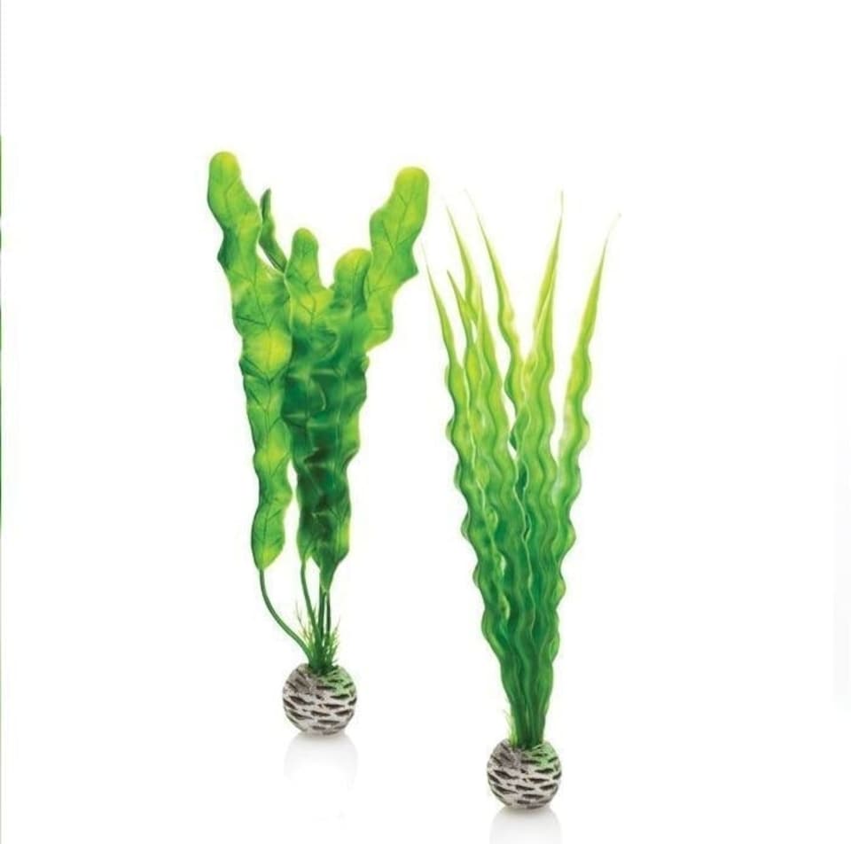 image 1 of BiOrb Easy Plants (Medium x2) - PL02