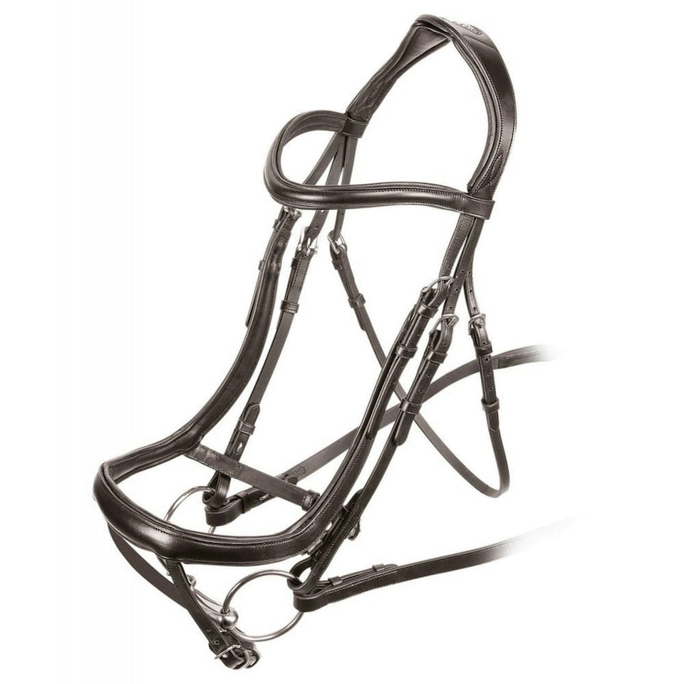 image 1 of Velociti Ergonomic Leather Curved Horse Flash Bridle - Havana - X Full