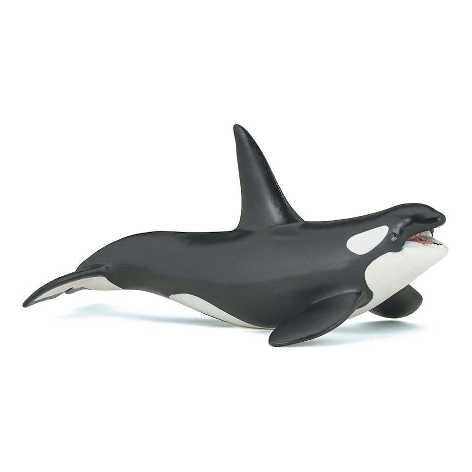 image 1 of PAPO Marine Life Killer Whale Toy Figure