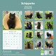 image 2 of Schipperke 2026 Calendar | Square Wall Calendar | Dog Breed Gift | Plastic Free Packaging | by Avonside Publishing