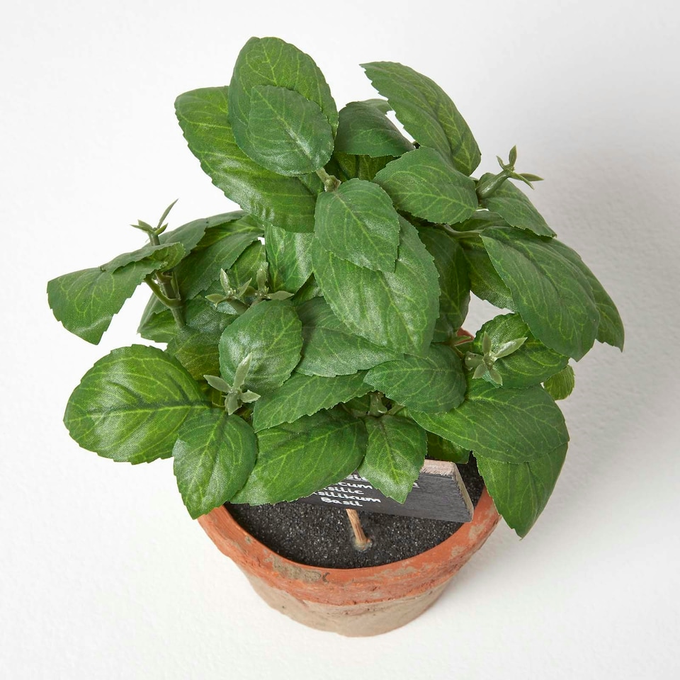 image 1 of Homescapes Artificial Basil Plant in Decorative Pot