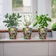 image 2 of Vibrant Herbs Small Ceramic Rosemary Plant Pot