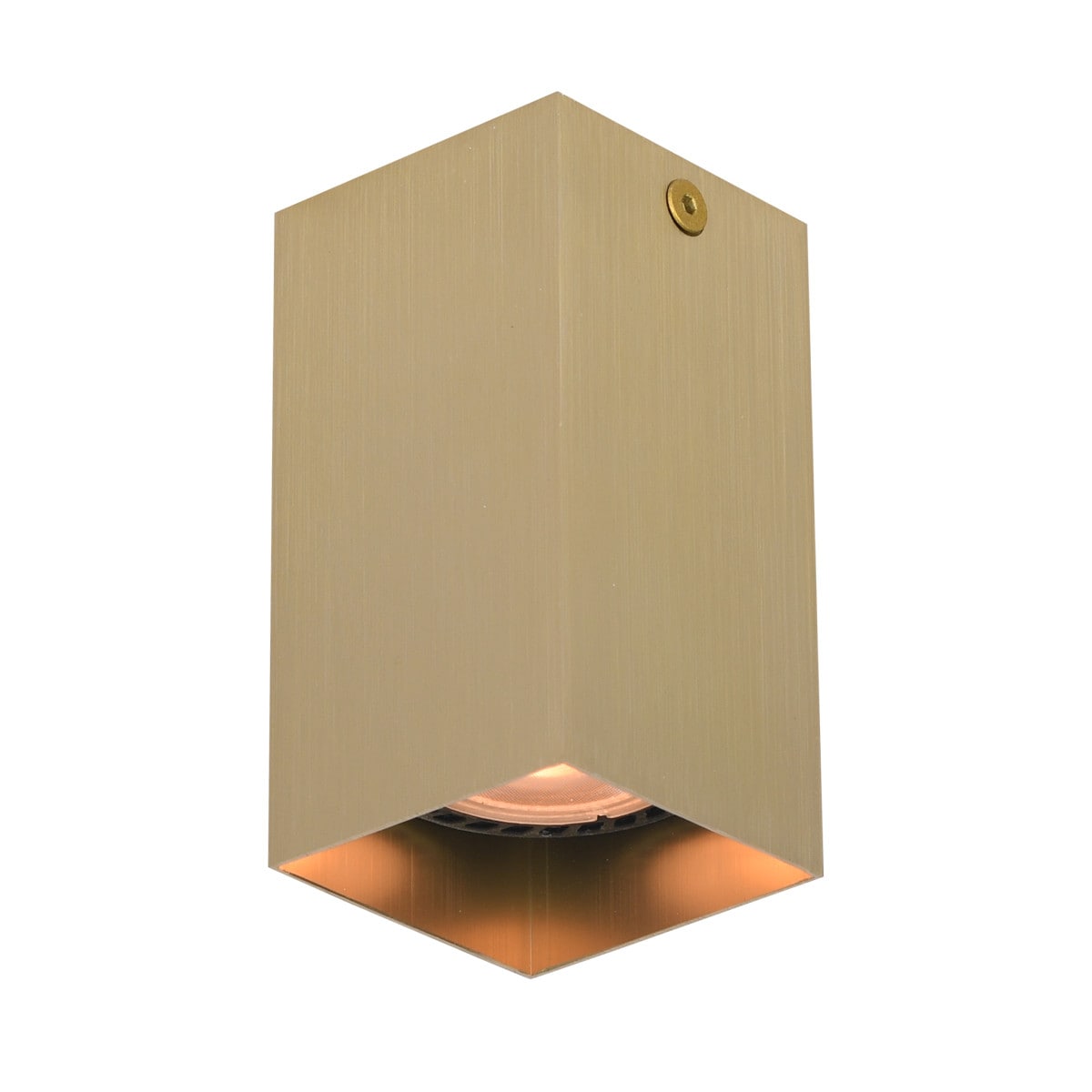 Netlighting Ander 10cm Surface Mounted Downlight Black Brass in Gold