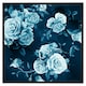 image 2 of Winter blue roses (Picture Frame) Grey | S