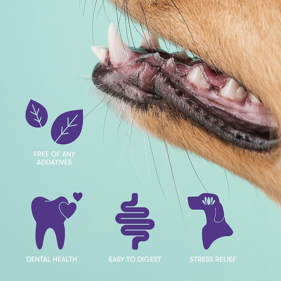 image 1 of Buddylicious Himalayan Yak Dog Chews Natural Yak Milk Cheese Chew for Long Lasting Dental Treat