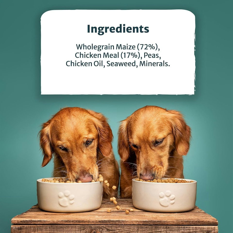 image 1 of Burns Pet Nutrition Complete Dry Hypoallergenic Dog Food For Sensitive Dogs, Turkey and Potato 6kg