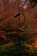 image 2 of Clap 126cm LED Outdoor Display Light Black IP65 3000K