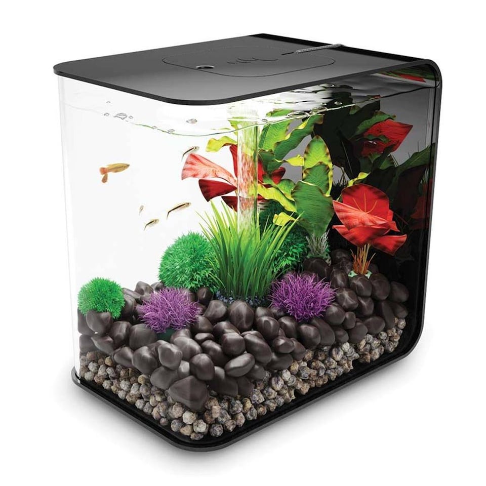 image 1 of biOrb FLOW 30L Aquarium Fish Tank in Black with MCR LED Lighting