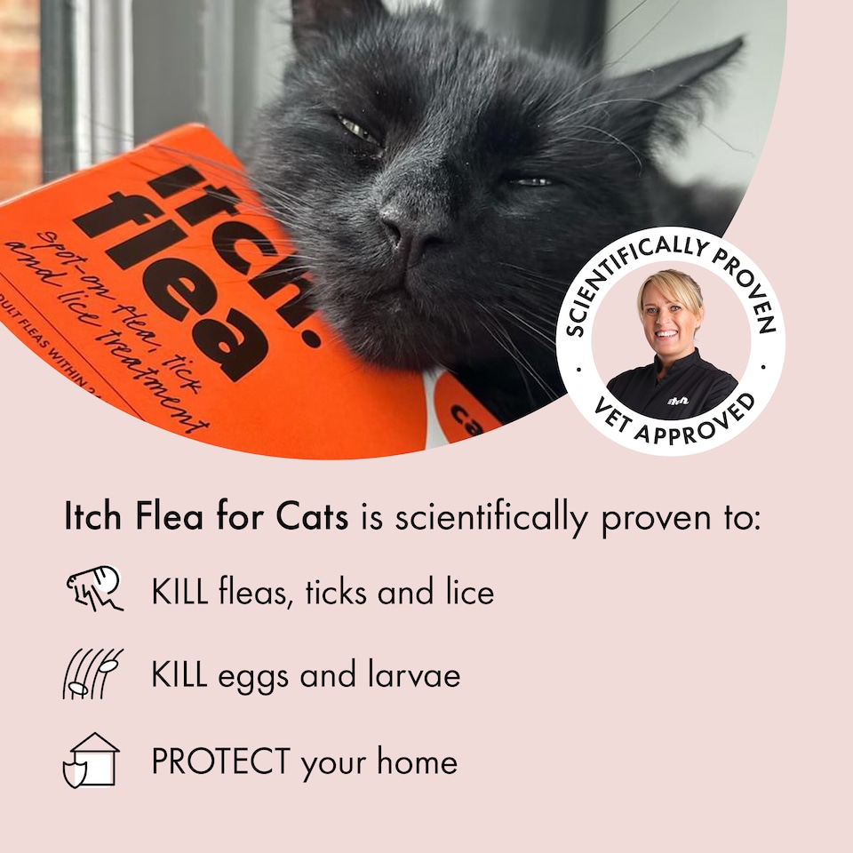 image 1 of Itch Flea Cat Flea & Tick Spot On Treatment 4 Pipette (1kg+)