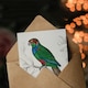 image 3 of Oliver Goldsmith Art Card Parakeet Parrot Bird Drawing