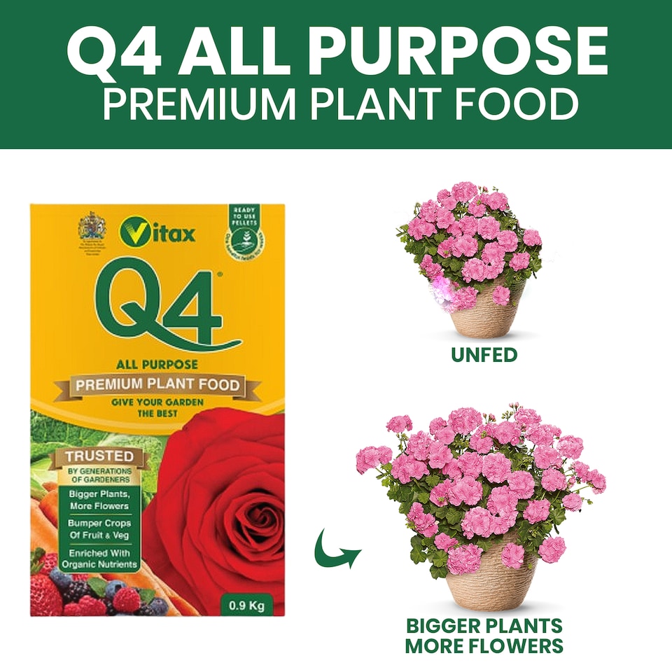 image 1 of Vitax Q4 All Purpose Plant Food Pelleted Fertiliser for Flowers Vegetables Fruit Lawns Garden Feed- 0.9kg Box