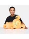 image 9 of Pokemon - 18" Sleeping Teddiursa Plush
