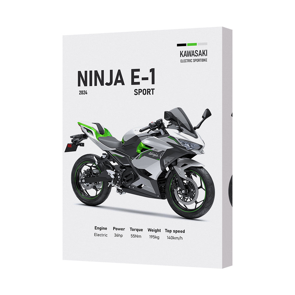 Ninja E1 Sport Canvas Wall Art Kawasaki Motorcycle Print