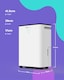 image 2 of 12L​/Day Dehumidifier ​for Home, Automatic Humidity Sensor