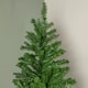 image 3 of 8ft Colorado Spruce Christmas Tree in Green with 1095 tips