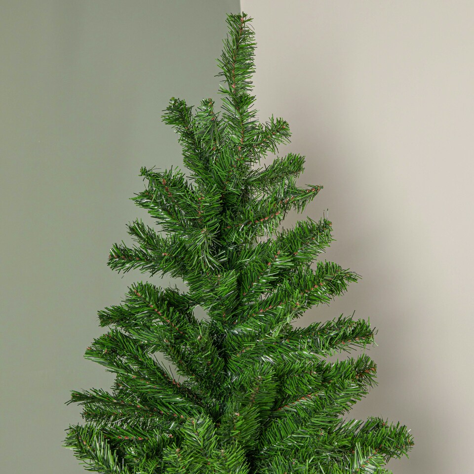 image 1 of 8ft Colorado Spruce Christmas Tree in Green with 1095 tips