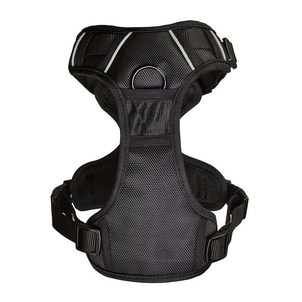 image 1 of Bunty Adventure Harness Pink | XL