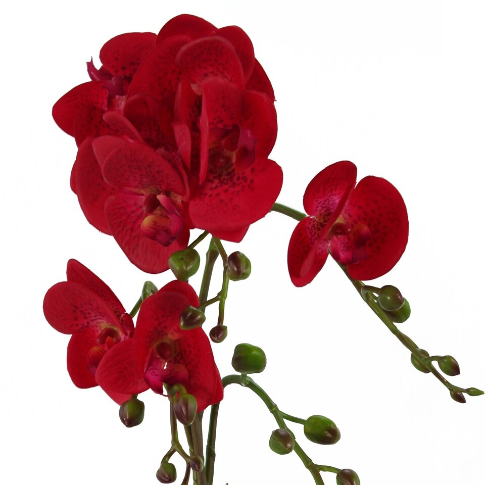 image 1 of Orchid Artificial Red Leopard Gold Pot 50cm Phalaenopsis