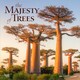 image 1 of Majesty of Trees, The 2026 Square Flap Calendar