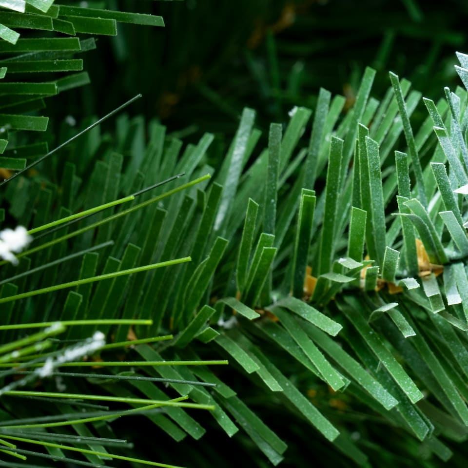 image 1 of Christmas Tree World  9ft/270cm Snowy Scots Pine Christmas Tree