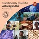 image 3 of Nutravita Organic Ashwagandha KSM-66 with 5pct Withanolides - Highest Concentration Most Bioavailable Full-Spectrum Root Powder - 60 Vegan Capsules