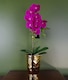 image 1 of 54cm Artificial Orchid Plant - Dark Pink Gold Pot