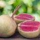 image 1 of Radish Mantanghong F1 - Asian Watermelon Radish Pink Flesh Crisp Sweet Easy Grow Culinary Decorative - 1x Seed Packet