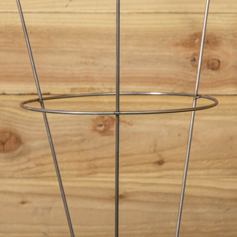 image 1 of Pack of 2 Tom Chambers Herbaceous Bare Rusted Steel Garden Plant Support Medium 54cm x 40cm