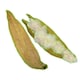 image 1 of 1Pk 2 Pods Small Animals Hamsters, Mice, Gerbils Naturals Play n Bedding Pods