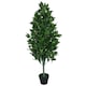 image 3 of Pair of 120cm (4ft) Artificial Topiary Bay Trees Pyramid Cones - Extra Large | Green | 4ft