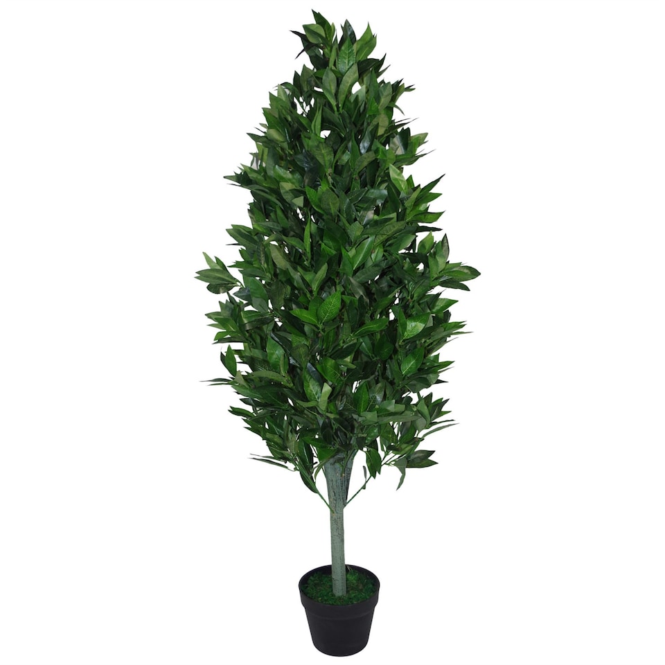 image 1 of Pair of 120cm (4ft) Artificial Topiary Bay Trees Pyramid Cones - Extra Large | Green | 4ft