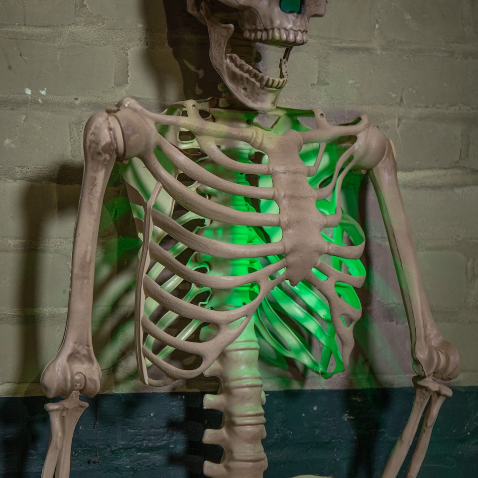 image 1 of 5ft (152cm) Battery Powered Light up Halloween Skeleton with Poseable Joints & Green LEDs