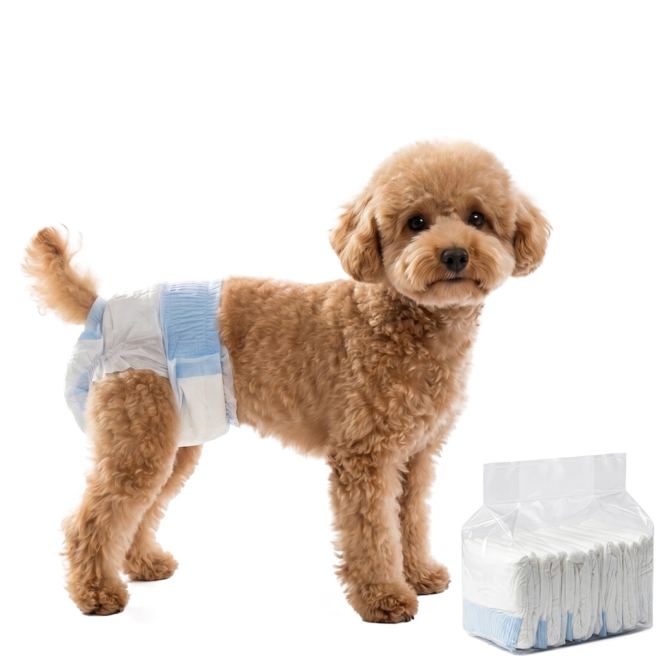 image 1 of PawHut Disposable Dog Diapers Female Dog Nappies S Dogs 48 Count