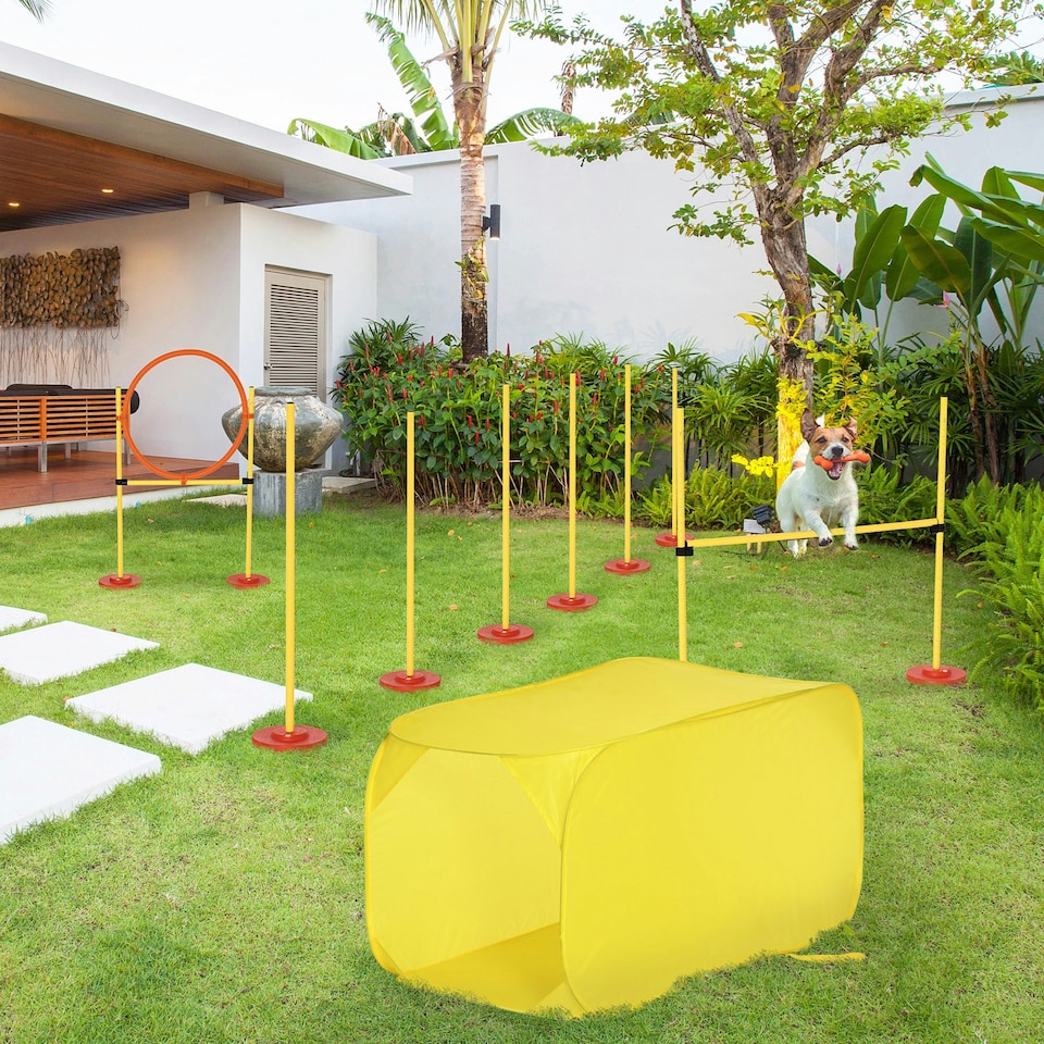 image 1 of PawHut Outdoor 4 PC Dog Pet Agility Training Garden Starter Obstacle Set for Dog