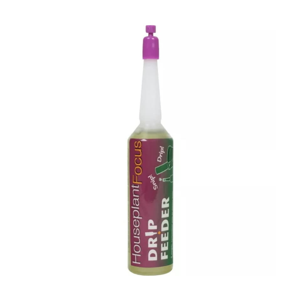image 1 of Houseplant Focus Drip Feeder 38ml House Plant Drip Feeders