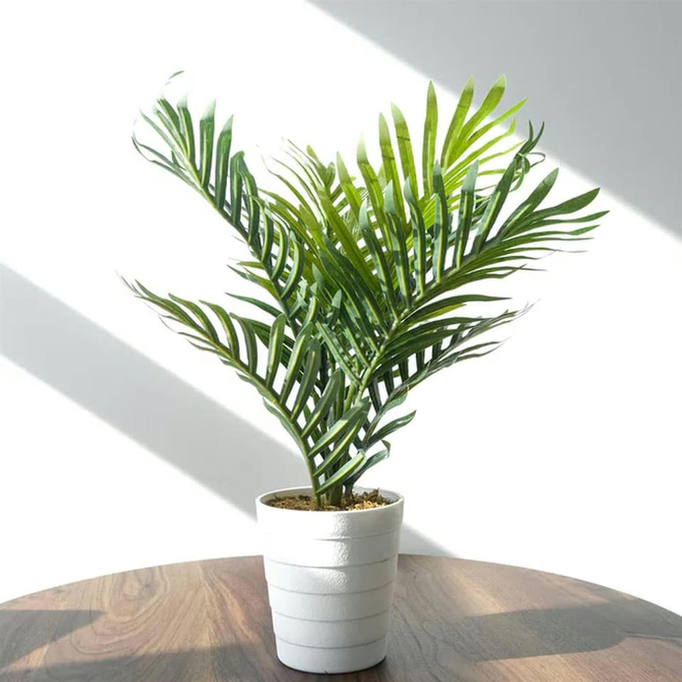 image 1 of 50cm Artificial Mini Palm Tree