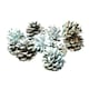 image 7 of Polaris Colour Changing Flame Burning Pine Cones 250g