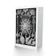 image 2 of Ernst Haeckel Art Card Phaeodaria Marine Life Illustration