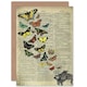 image 1 of Upcycle Butterfly Explosion Piano Birthday Card