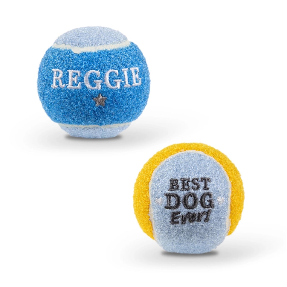 image 1 of Pre-Personalised Dog Ball Gift Pack 2pcs Blue Reggie