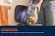 image 4 of VAX LiftOut Reach Pet-Design Corded Vacuum Cleaner