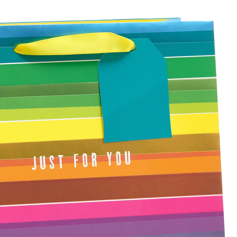 image 1 of Multipack of 3 Medium Gift Bags | Party Bags for Presents | Birthdays | For Him/Her/Friend | Rainbow Design