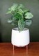 image 2 of White Ceramic Planter with Metal Stand Plant Pot Botanik | White