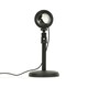 image 3 of ValueLights Moonlight Gifting Polished Black Illuminated Decoration and Integrated LED .17W Multicolour 5800K Bulb