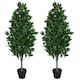image 7 of Pair of 120cm (4ft) Artificial Topiary Bay Trees Pyramid Cones - Extra Large | Green | 4ft
